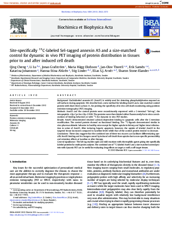 (PDF) Site-specifically 11C-labeled Sel-tagged annexin A5 and a size ...