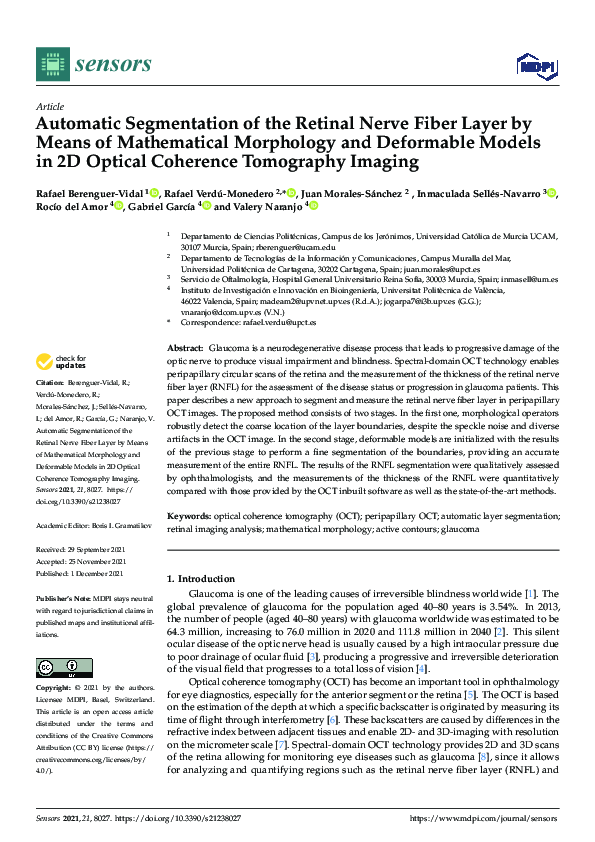 (PDF) Automatic Segmentation of the Retinal Nerve Fiber Layer by Means ...