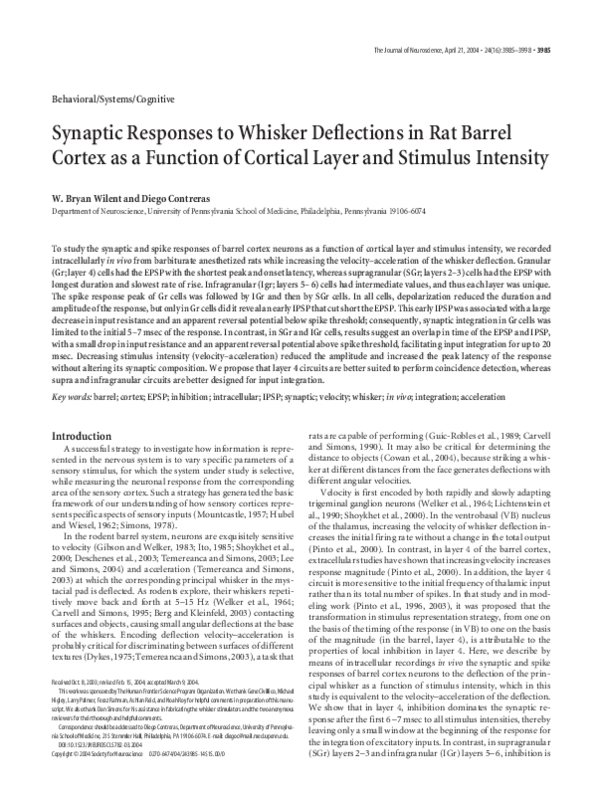(PDF) Synaptic Responses to Whisker Deflections in Rat Barrel Cortex as ...