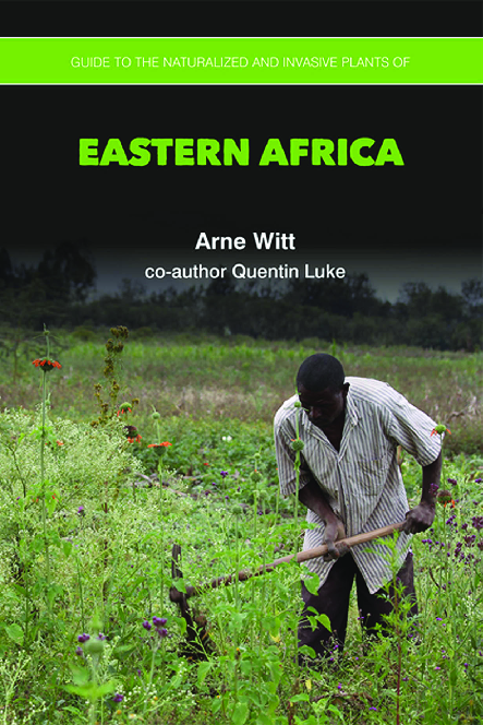 African SquareオリーブハンドルカッティングL NO.1チュニジア （PDF 
