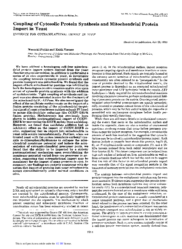 (PDF) Coupling of cytosolic protein synthesis and mitochondrial protein ...