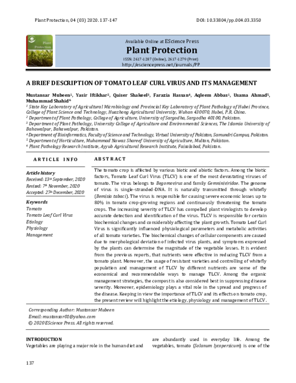 (PDF) A Brief Description of Tomato Leaf Curl Virus and Its Management