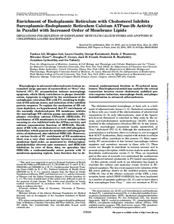 (PDF) Enrichment of Endoplasmic Reticulum with Cholesterol Inhibits ...