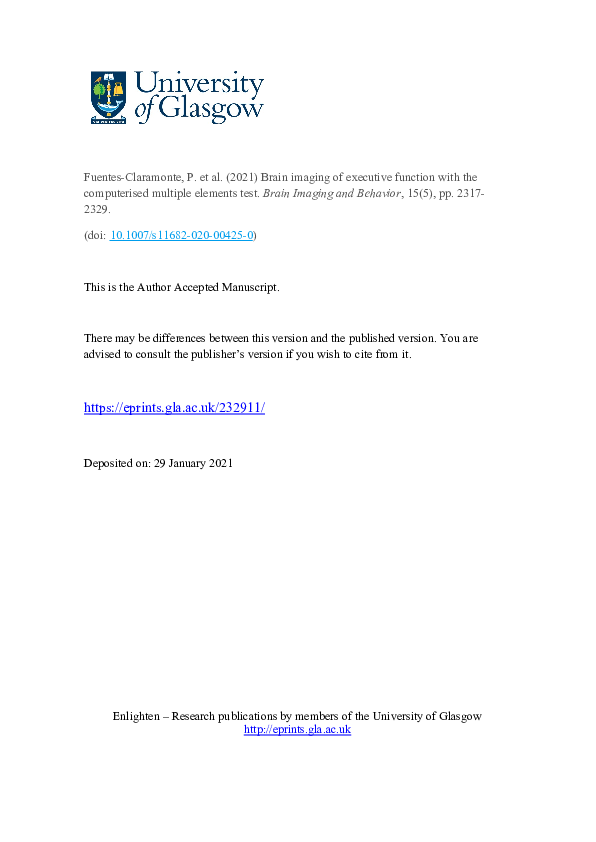 (PDF) Brain imaging of executive function with the computerised ...