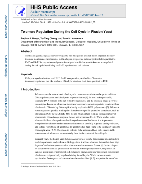 (PDF) Telomere regulation during the cell cycle in fission yeast
