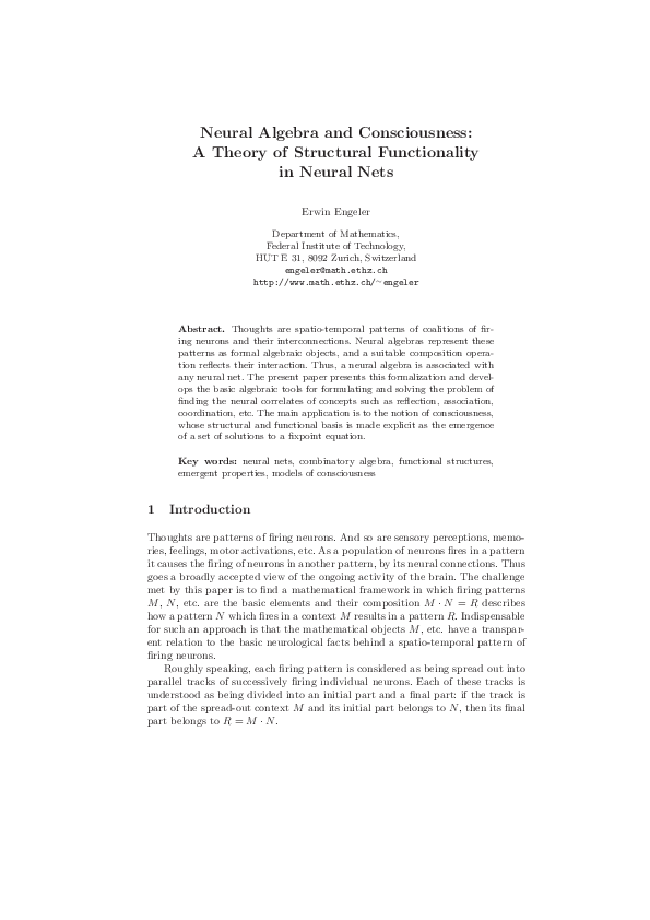 (PDF) Neural Algebra and Consciousness: A Theory of Structural ...