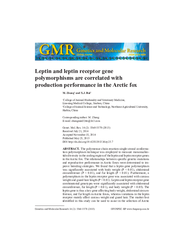 (PDF) Leptin and Leptin Receptor Gene Polymorphisms in Obstructive ...