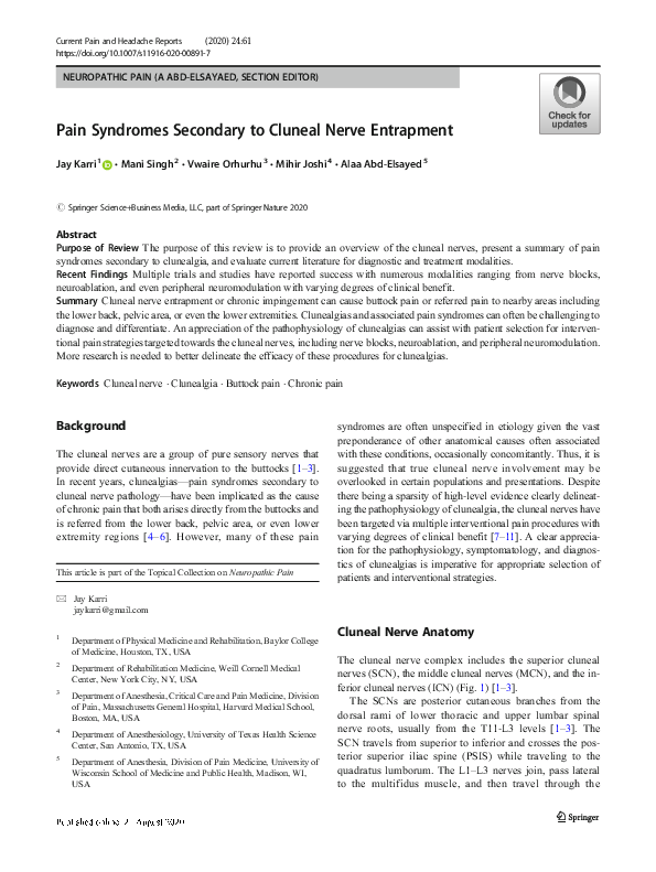 (PDF) Pain Syndromes Secondary to Cluneal Nerve Entrapment
