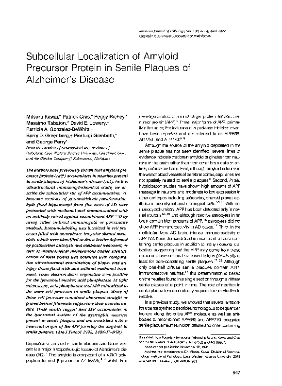 (PDF) Subcellular localization of amyloid precursor protein in senile ...