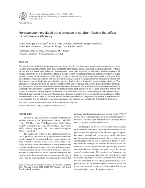 (PDF) Agrobacterium-mediated transformation of sorghum: factors that ...