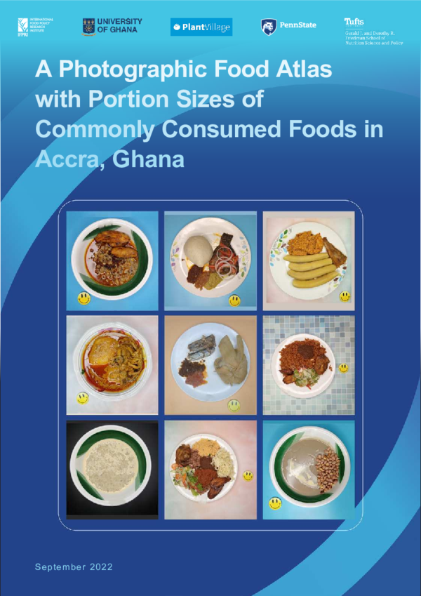 (PDF) A photographic food atlas with portion sizes of commonly consumed ...