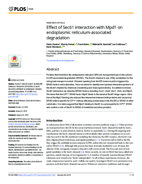 (PDF) Effect of Sec61 interaction with Mpd1 on endoplasmic reticulum ...