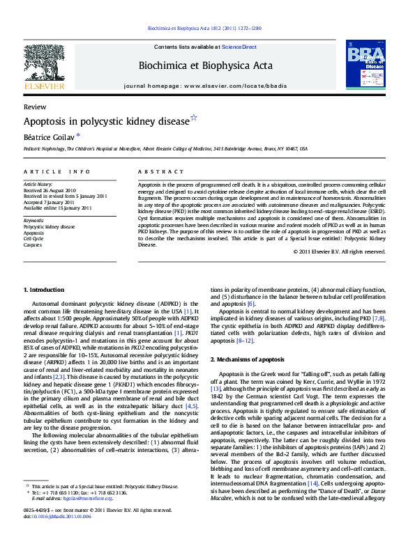 (PDF) Apoptosis in polycystic kidney disease Beatrice Goilav