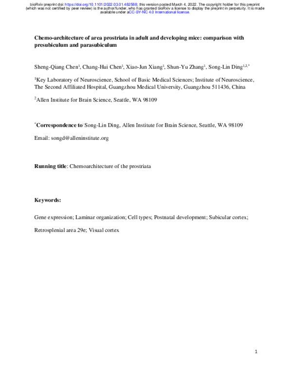 (PDF) Chemo-architecture of area prostriata in adult and developing ...