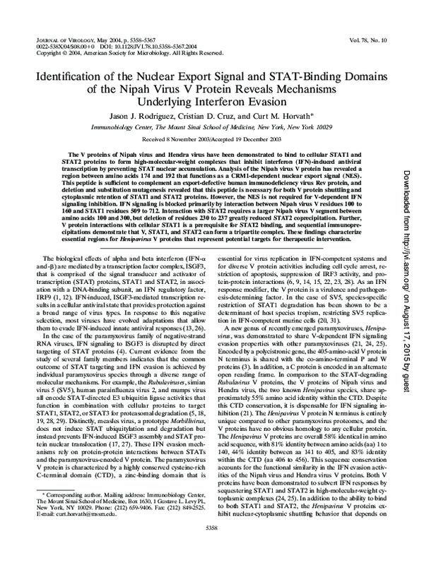 (PDF) Identification of the Nuclear Export Signal and STAT-Binding ...