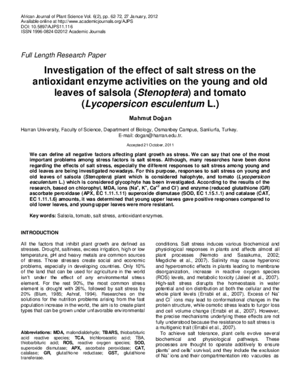 (PDF) Investigation of the effect of salt stress on the antioxidant ...