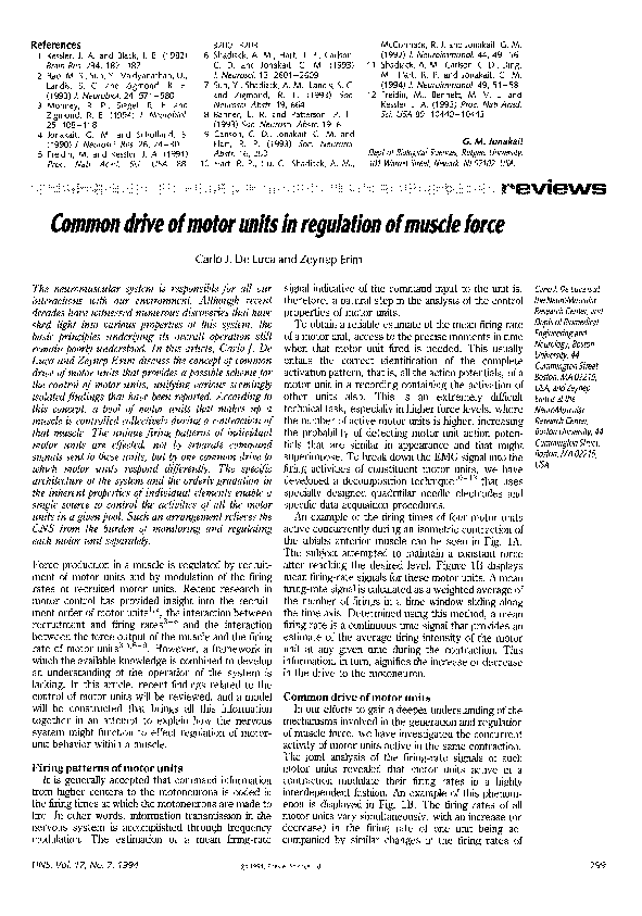 (PDF) Common drive of motor units in regulation of muscle force