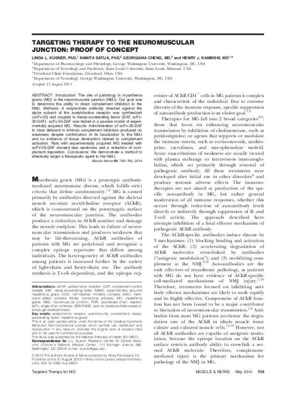 (PDF) Targeting therapy to the neuromuscular junction: proof of concept ...