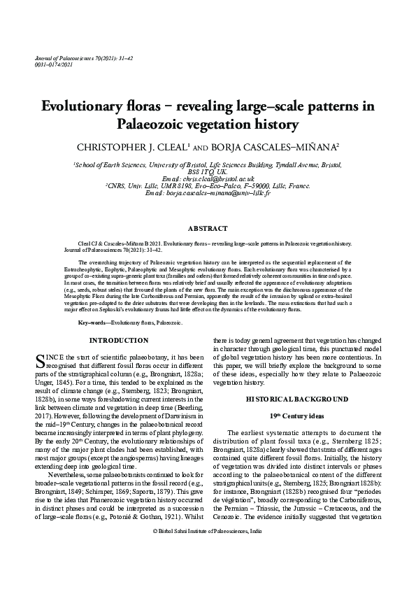 (PDF) Evolutionary Floras ‒ revealing large-scale patterns in ...