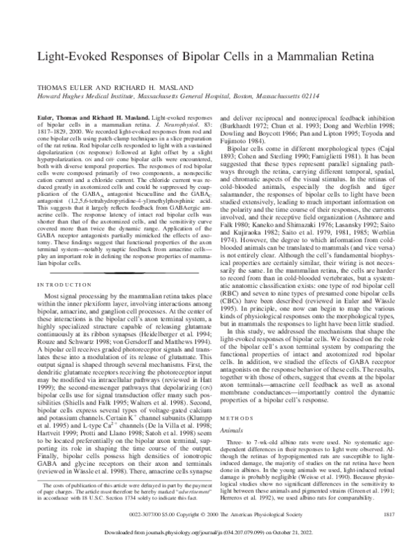 (PDF) Mammalian Retina Light-Evoked Responses of Bipolar Cells in a
