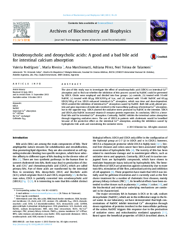 (PDF) Ursodeoxycholic and deoxycholic acids: A good and a bad bile acid ...