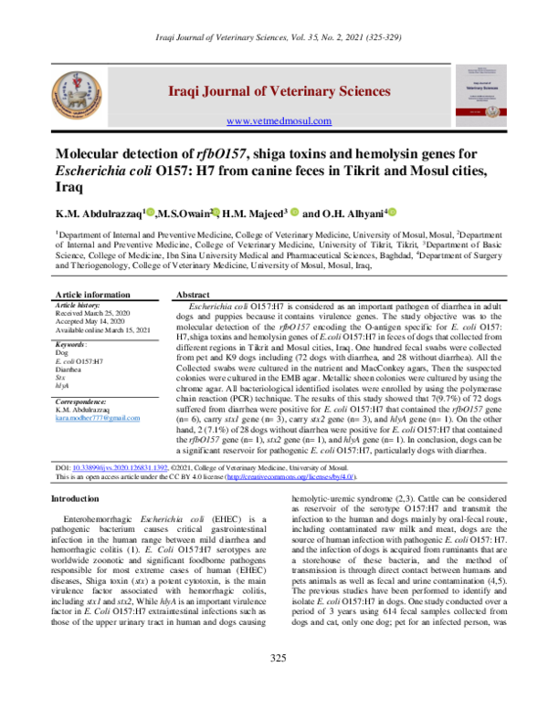 (PDF) Molecular detection of rfbO157, shiga toxins and hemolysin genes ...