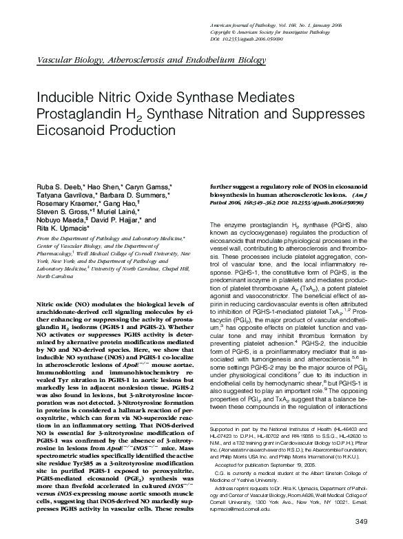 (PDF) Inducible Nitric Oxide Synthase Mediates Prostaglandin H2 ...
