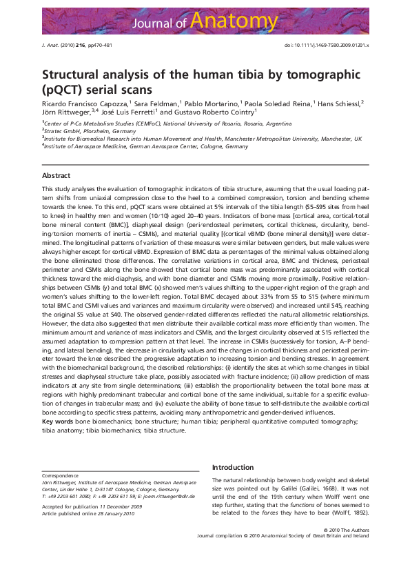 (PDF) Structural analysis of the human tibia by tomographic (pQCT ...