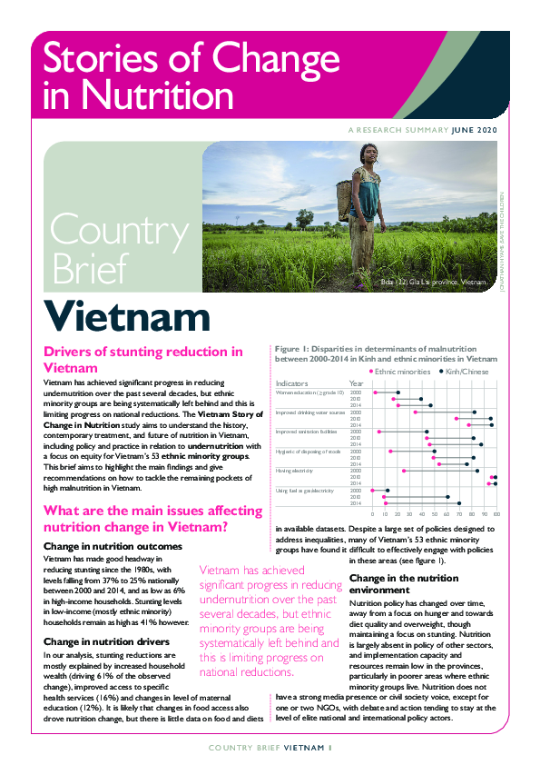 VIETNAM COUNTRY PROFILE PDF visual data 4