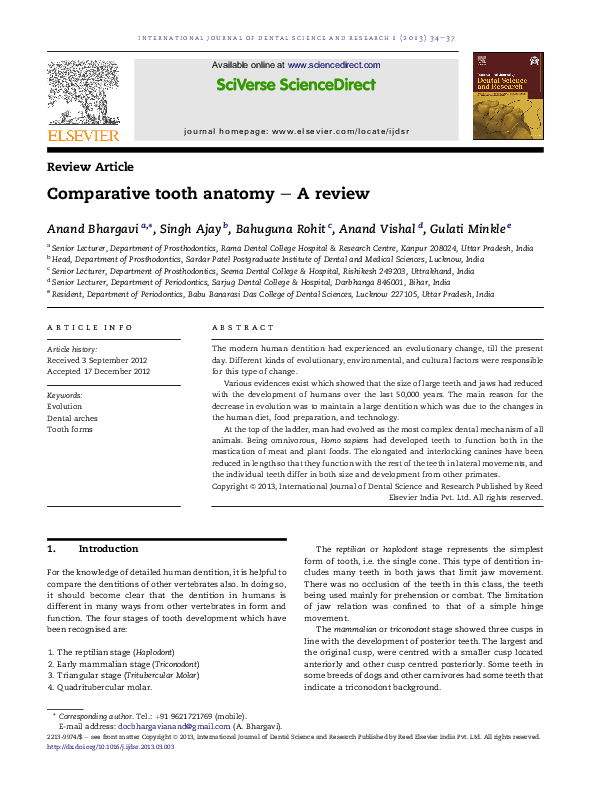 (PDF) Comparative tooth anatomy – A review
