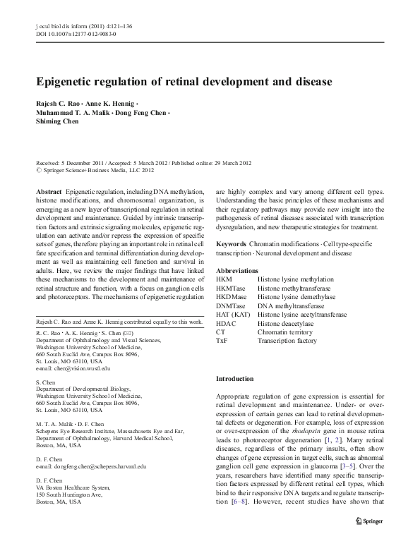 (PDF) Epigenetic regulation of retinal development and disease