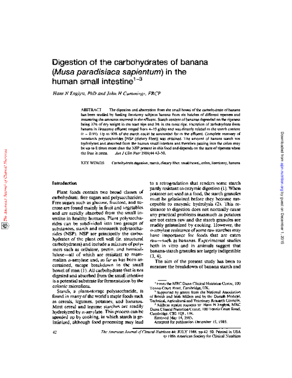 (PDF) Digestion of the carbohydrates of banana (Musa paradisiaca