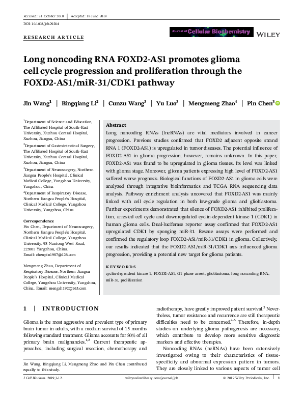 (PDF) Long noncoding RNA FOXD2‐AS1 promotes glioma cell cycle ...