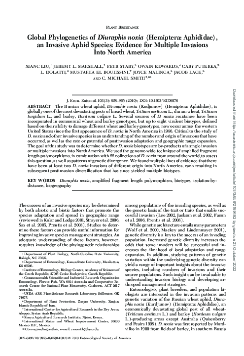 (PDF) Global Phylogenetics of Diuraphis noxia (Hemiptera: Aphididae ...