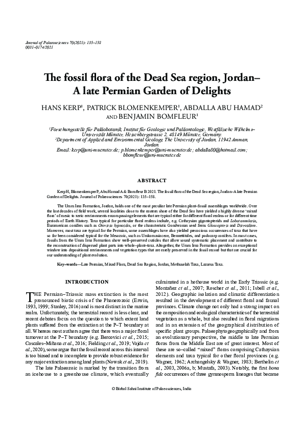 (PDF) The fossil flora of the Dead Sea region, Jordan – A late Permian ...