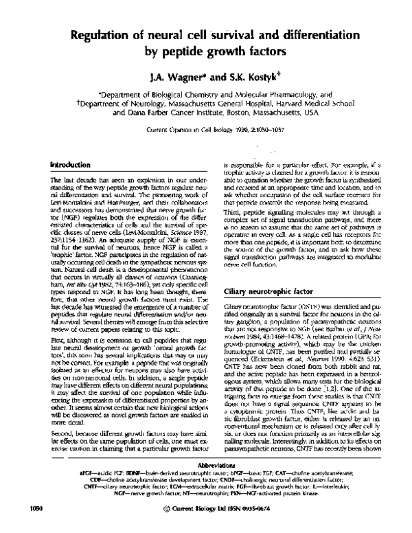 (PDF) Regulation of neural cell survival and differentiation by peptide ...