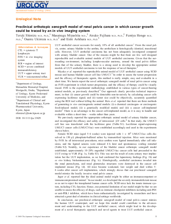 (PDF) Preclinical orthotopic xenograft model of renal pelvis cancer in ...