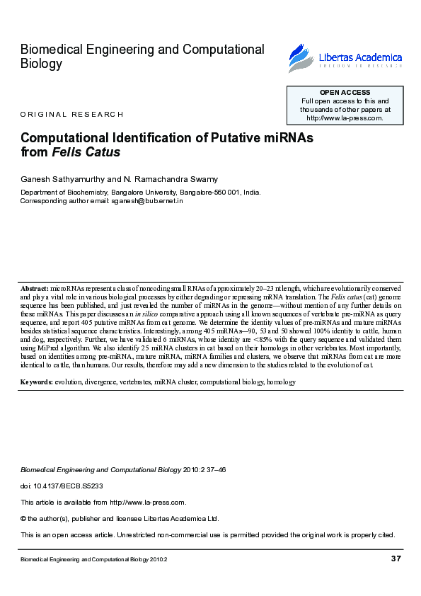 (PDF) Computational Identification of Putative miRNAs