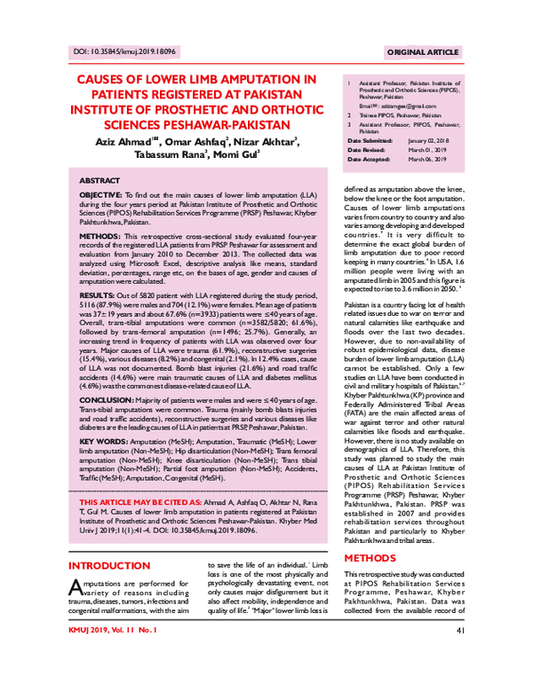 (PDF) Causes of Lower Limb Amputation in Patients Registered at ...