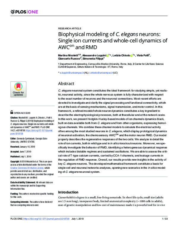 (PDF) Biophysical modeling of C. elegans neurons: Single ion currents ...