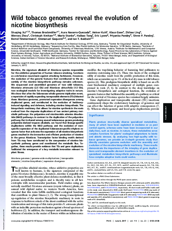 (PDF) Wild tobacco genomes reveal the evolution of nicotine biosynthesis