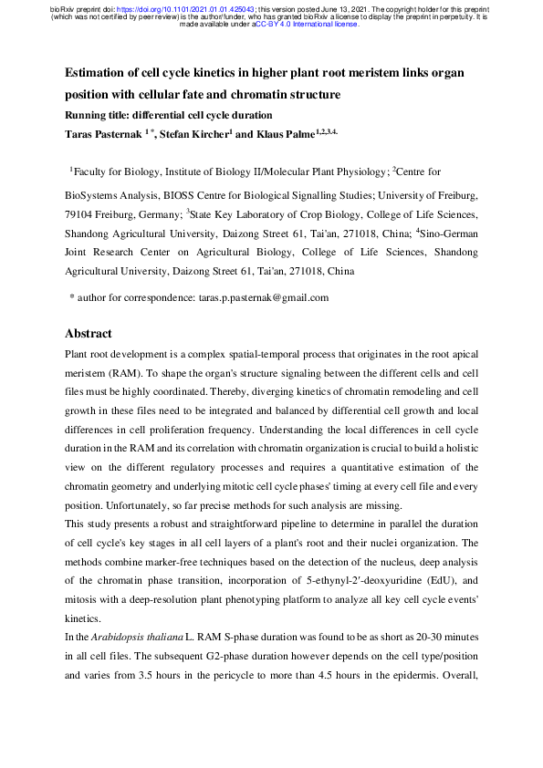 (PDF) Estimation of cell cycle kinetics in higher plant root meristem ...