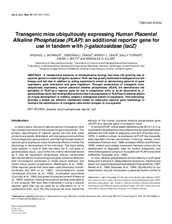 (PDF) Transgenic mice ubiquitously expressing human placental alkaline ...