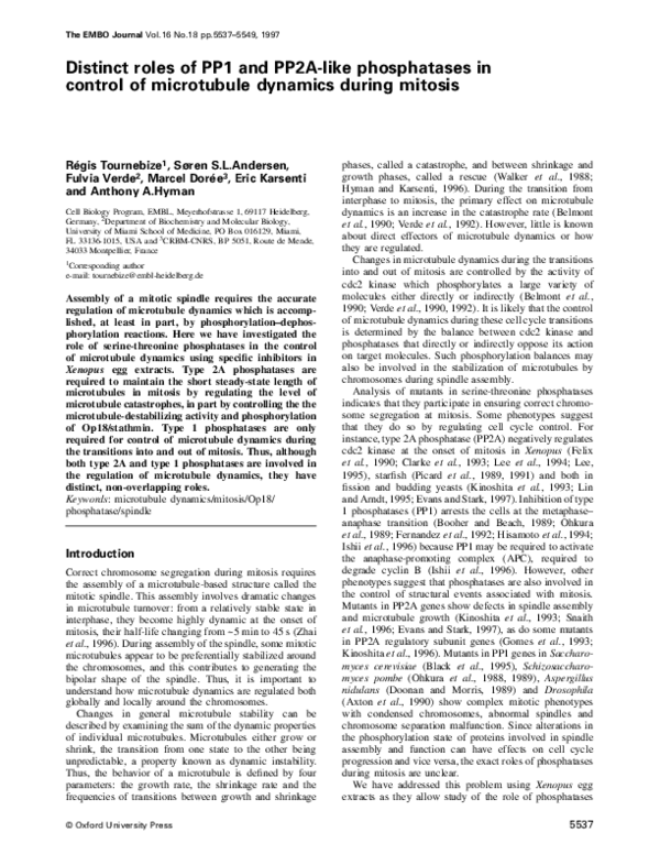 (PDF) Distinct roles of PP1 and PP2A-like phosphatases in control of ...