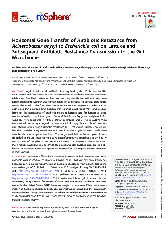 (PDF) Horizontal Gene Transfer of Antibiotic Resistance from ...