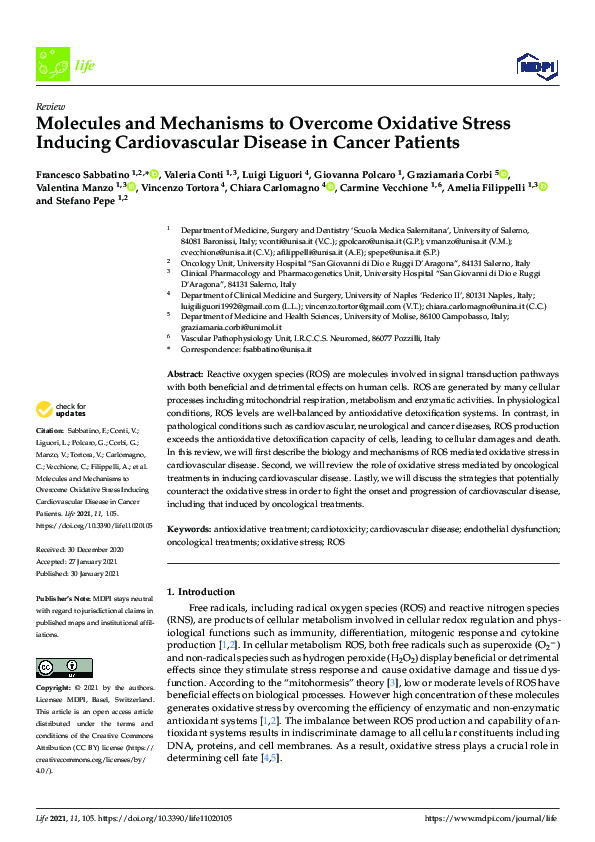 (PDF) Molecules and Mechanisms to Overcome Oxidative Stress Inducing ...
