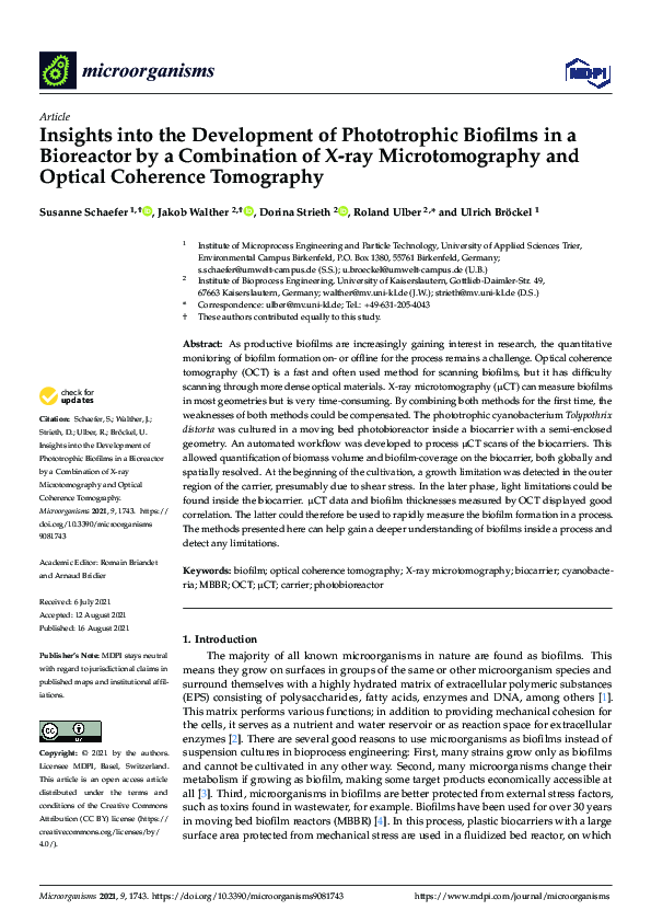Insights into the Development of Phototrophic Biofilms in a Bioreactor by a Combination of X-ray Microtomography and Optical Coherence Tomography