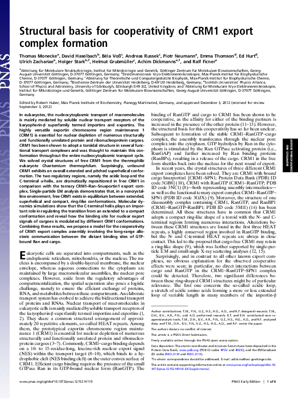(PDF) Structural basis for cooperativity of CRM1 export complex formation