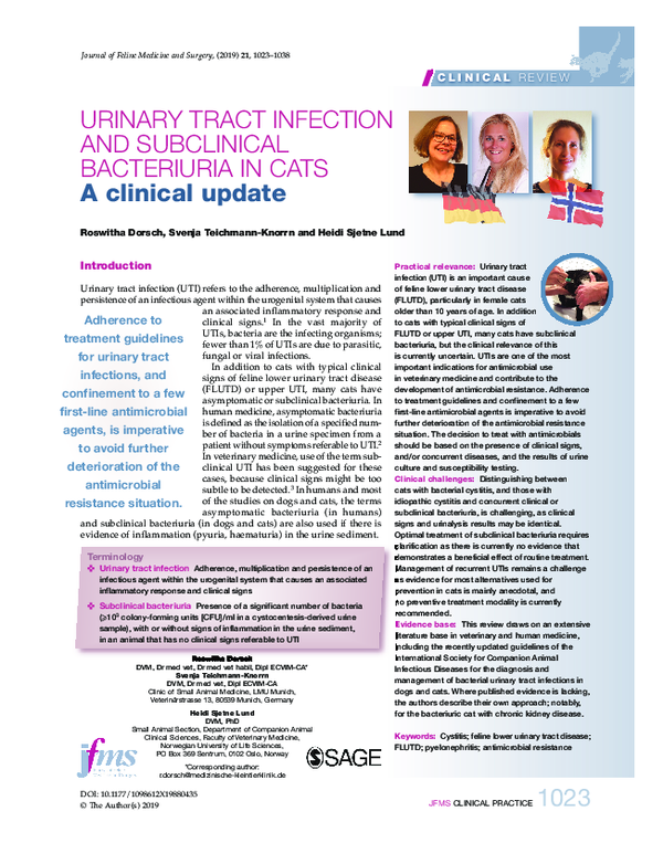 Photo inspiration: Infections Of The Urinary Tract In Cats Reference: Pdf Urinary Tract Infection And Subclinical Bacteriuria In Cats A