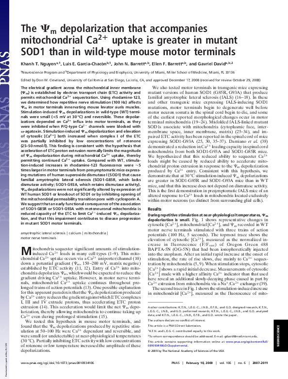 (PDF) The Psi(m) depolarization that accompanies mitochondrial Ca2 ...